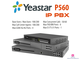 IP-АТС Yeastar P560 характеристики