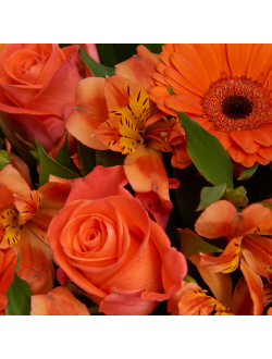 Оранжевый букет