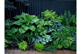 ГОТОВЫЕ РЕШЕНИЯ ПОД ВАШ ЗАПРОС (в стоимость входят растения!)