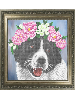 Любимый питомец 3, К3252