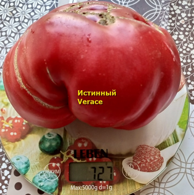Томат Истинный (Verace, Италия)