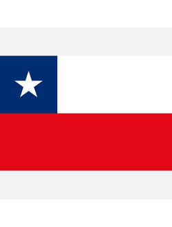 Флаг Чили гостевой Adria Bandiere BC081 20x30см