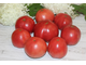 ROSE TOMATO (Розовый томат)