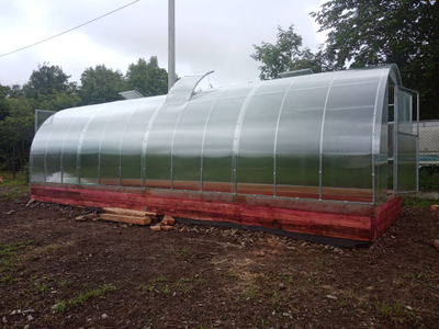 Теплица «Дачница Усиленная» 3*8 м. Сотовый поликарбонат 6 мм.