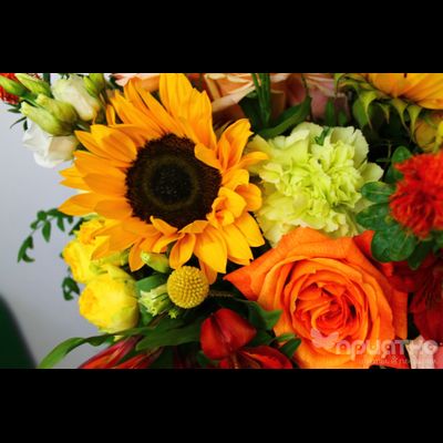 ЦВЕТОЧНАЯ КОМПОЗИЦИЯ № 117