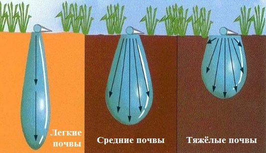 срез почвы при капельном поливе