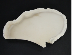 Кахолонг (Опал), срез с одной стороны, Оренбургская обл. (157*96*27 мм, 382 г) №21854