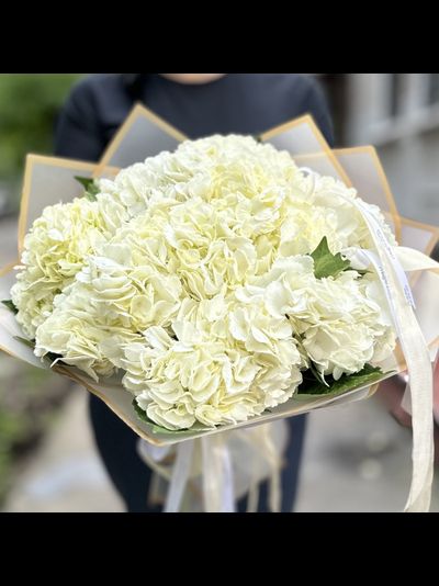 9 белых гортензий