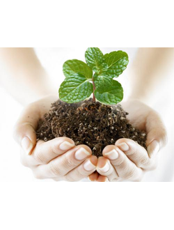 СРЕДСТВА ЗАЩИТЫ ДЛЯ САДА