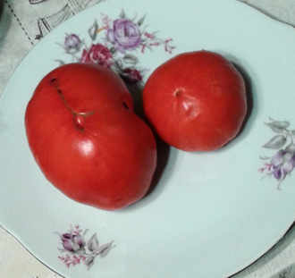 Семена томата Бабушка Боуз