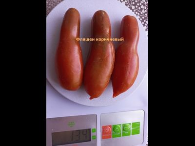 Томат Фляшентомат коричневый (Flaschentomaten brown)