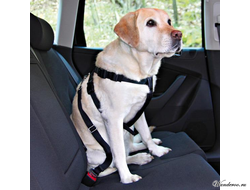 А/м ремень безопасности для собак 20-50 см размер XS "Trixie "  1288