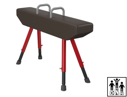 Конь гимнастический маховый