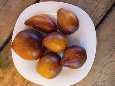 Томат Сладкая карамель Софии