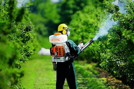 Обработка от вредителей и болезней