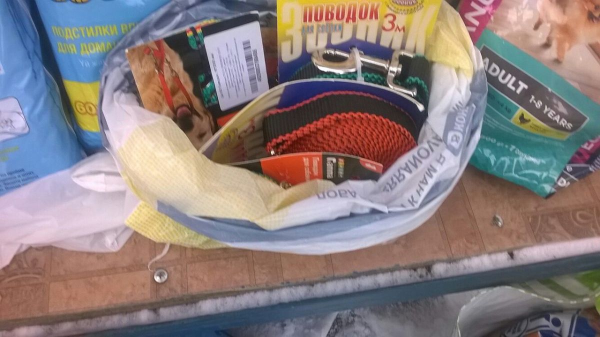 СПАСИБО ВОЛОНТЕРАМ ЗА ПОМОЩЬ ЖИВОТНЫМ