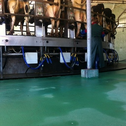 полы для ферм