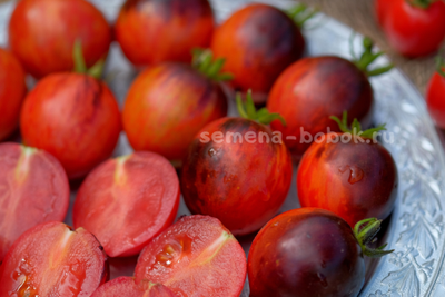 Томат Dwarf Shadow Boxing (Гном Бой с тенью), 10 шт