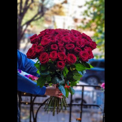 Роза Россия 70 см 51 шт