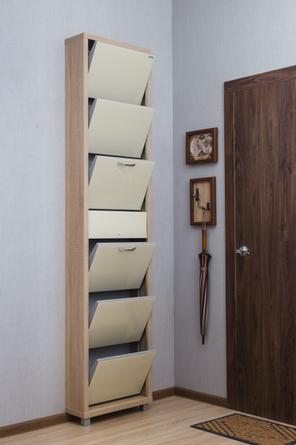 Обувница Айрон-6 Плюс (фасад стекло Капучино)