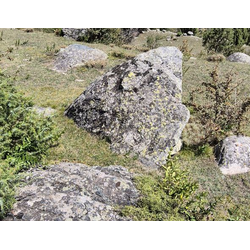 Валун хвойничек ландшафтный 3