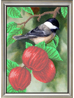 Наливные яблочки, К4181