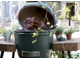 Гриль керамический BIG GREEN XXLarge Egg, 120939