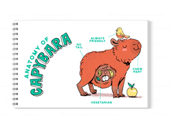 Альбом для рисования Капибара, Kapibara-san №20