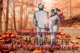 Он-лайн магазин WiFi видеонаблюдения p2pWiFicam.ru