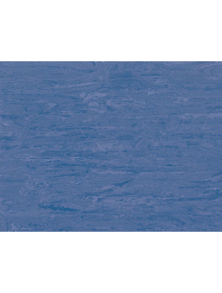 Horizon 007