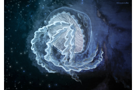 Медуза Галактик. 
Арт от Legenda Vincento