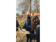 Экскурсия с иммерсивным аудиоспектаклем &quot;Один день в Тихоновой слободе&quot;