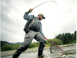 Одежда и обувь