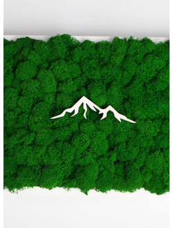 ЖИВАЯ ЭКО-КАРТИНА 1034