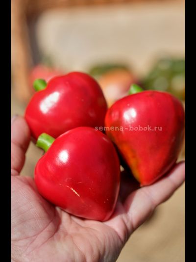 Перец сладкий Маусики, 10 шт