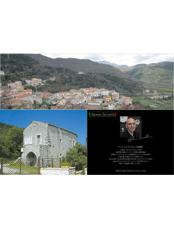 Настенные часы Rhythm ZC005-005