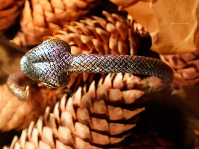 "Золотая Радужная Змейка", необычный браслет в осеннем стиле