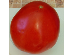 Томат Сердце кенгуру