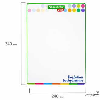 Доска для рисования с маркером двухсторонняя, в клетку/белая, 24х34 см (А4), BRAUBERG KIDS