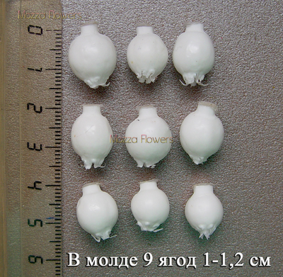 "Ирга" Силиконовый молд