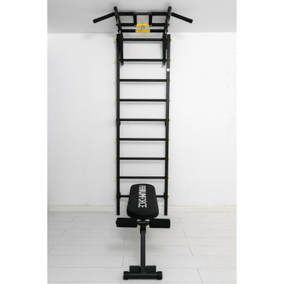 Шведская стенка Ferrum Force FR3 купить в Воронеже