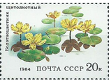 5437. Водные растения. Щитолистный болотноцветник