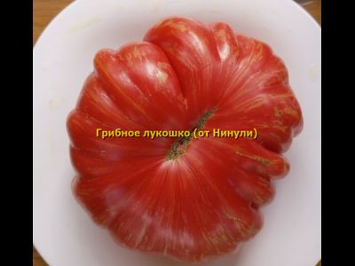 Томат Грибное лукошко полосатое