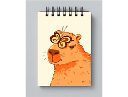 Блокнот Капибара, Kapibara-san №6