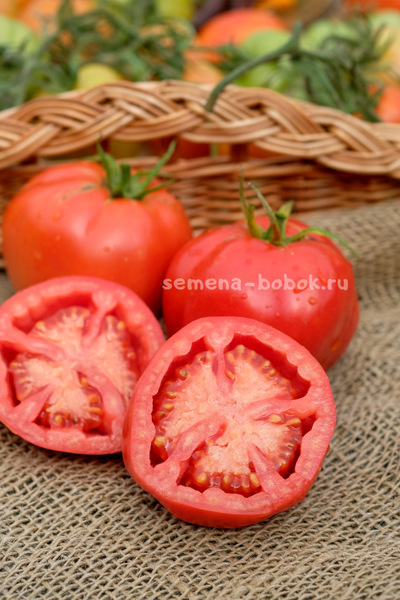 Томат Минусинский Кистевой, 10 шт