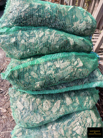 кора хвойных пород