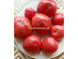 Томат Минусинский властелин