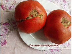 Томат Семейный великан
