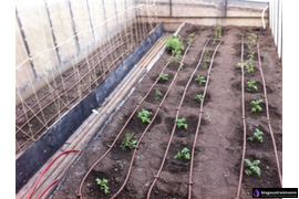 Монтаж и проектирование автоматического полива