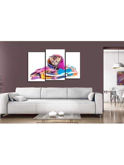 Модульная картина "Котенок в шали"